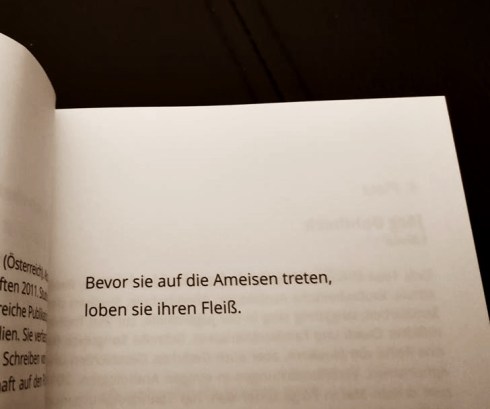 aphorismus isabella krainer